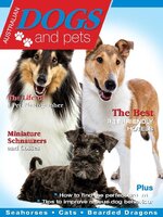 Australian Dogs & Pets